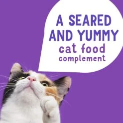 Friskies Lil' Grillers Seared Cuts With Turkey In Gravy Wet Cat Food, 1.55-oz Pouches, Case Of 16 -PurePet Bites Shop 202279 PT3. AC SS1800 V1695923364