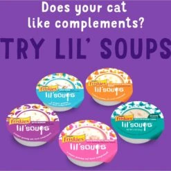 Friskies Lil' Grillers Seared Cuts With Turkey In Gravy Wet Cat Food, 1.55-oz Pouches, Case Of 16 -PurePet Bites Shop 202279 PT5. AC SS1800 V1695847303