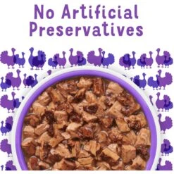 Friskies Lil' Grillers Seared Cuts With Turkey In Gravy Wet Cat Food, 1.55-oz Pouches, Case Of 16 -PurePet Bites Shop 202279 PT6. AC SS1800 V1695737453