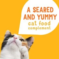 Friskies Lil' Grillers Seared Cuts With Chicken In Gravy Wet Cat Food,1.55-oz Pouches, Case Of 16 -PurePet Bites Shop 202281 PT3. AC SS1800 V1695744389