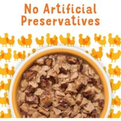 Friskies Lil' Grillers Seared Cuts With Chicken In Gravy Wet Cat Food,1.55-oz Pouches, Case Of 16 -PurePet Bites Shop 202281 PT6. AC SS1800 V1695735246