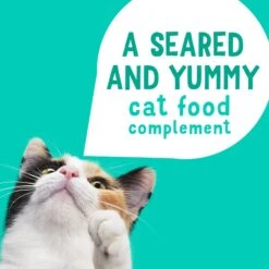 Friskies Lil' Grillers Seared Cuts With Ocean Fish In Gravy Wet Cat Food, 1.55-oz Pouches, Case Of 16 -PurePet Bites Shop 202283 PT3. AC SS1800 V1695744268