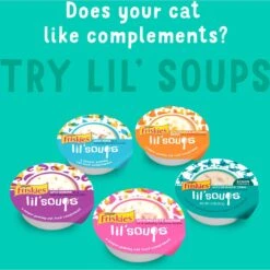 Friskies Lil' Grillers Seared Cuts With Ocean Fish In Gravy Wet Cat Food, 1.55-oz Pouches, Case Of 16 -PurePet Bites Shop 202283 PT5. AC SS1800 V1695836039