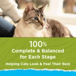 Cat Chow Naturals Indoor With Real Chicken & Turkey Dry Cat Food 17 Cat Chow Naturals Indoor With Real Chicken & Turkey Dry Cat Food -PurePet Bites Shop 202717 PT6. AC SS1800 V1695845947