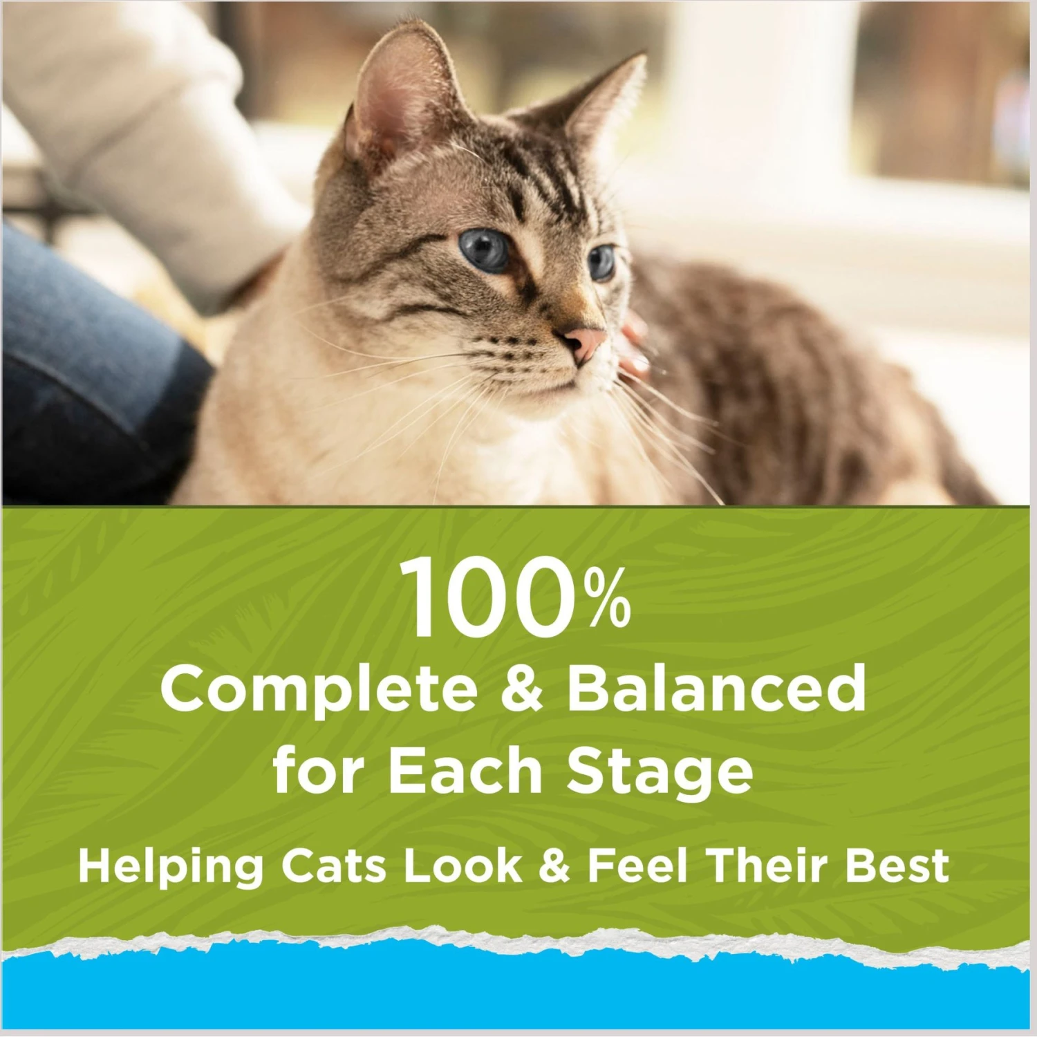 Cat Chow Naturals Indoor With Real Chicken & Turkey Dry Cat Food 10 Cat Chow Naturals Indoor With Real Chicken & Turkey Dry Cat Food - Image 8