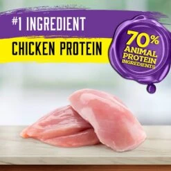 Inception Chicken Recipe Dry Cat Food -PurePet Bites Shop 205302 PT3. AC SS1800 V1642561709