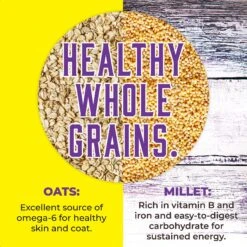 Inception Chicken Recipe Dry Cat Food -PurePet Bites Shop 205302 PT4. AC SS1800 V1642564062