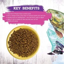 Inception Fish Recipe Dry Cat Food -PurePet Bites Shop 205306 PT5. AC SS1800 V1642563707