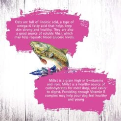 Inception Fish Recipe Dry Cat Food -PurePet Bites Shop 205306 PT6. AC SS1800 V1642565263