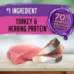 Inception Turkey & Herring Meal Recipe Dry Cat Food 14 Inception Turkey & Herring Meal Recipe Dry Cat Food -PurePet Bites Shop 205308 PT3. AC SS1800 V1642552928