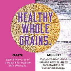 Inception Turkey & Herring Meal Recipe Dry Cat Food 15 Inception Turkey & Herring Meal Recipe Dry Cat Food -PurePet Bites Shop 205308 PT4. AC SS1800 V1642550500