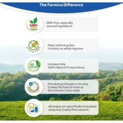 Farmina N&D Prime Chicken & Pomegranate Recipe Kitten Dry Food, 3.3-lb Bag -PurePet Bites Shop 207634 PT3. AC SS1800 V1680640435