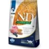 Farmina N&D Ancestral Grain Lamb & Blueberry Recipe Adult Cat Dry Food, 11-lb Bag -PurePet Bites Shop 207641 MAIN. AC SS1800 V1651780903