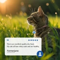 Farmina N&D Ancestral Grain Lamb & Blueberry Recipe Adult Cat Dry Food, 11-lb Bag -PurePet Bites Shop 207641 PT7. AC SS1800 V1678910066