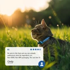 Farmina N&D Prime Lamb & Blueberry Recipe Adult Cat Dry Food -PurePet Bites Shop 207647 PT7. AC SS1800 V1678910009