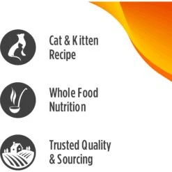 Nulo FreeStyle Chicken & Salmon Recipe Freeze-Dried Raw Cat Food 15 Nulo FreeStyle Chicken & Salmon Recipe Freeze-Dried Raw Cat Food -PurePet Bites Shop 209706 PT4. AC SS1800 V1665527595
