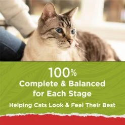 Purina Cat Chow Naturals Original With Added Vitamins, Minerals & Nutrients Dry Cat Food -PurePet Bites Shop 211440 PT6. AC SS1800 V1695845925