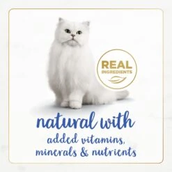 Fancy Feast Gourmet Naturals Natural Rainbow Trout Recipe In Gravy Canned Cat Food, 3-oz Can, Case Of 12 -PurePet Bites Shop 214801 PT3. AC SS1800 V1677103480