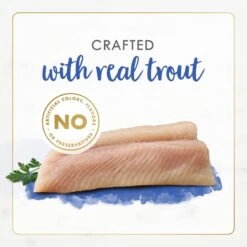 Fancy Feast Gourmet Naturals Natural Rainbow Trout Recipe In Gravy Canned Cat Food, 3-oz Can, Case Of 12 -PurePet Bites Shop 214801 PT4. AC SS1800 V1677103508