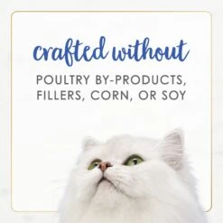 Fancy Feast Gourmet Naturals Natural Rainbow Trout Recipe In Gravy Canned Cat Food, 3-oz Can, Case Of 12 -PurePet Bites Shop 214801 PT6. AC SS1800 V1677102399