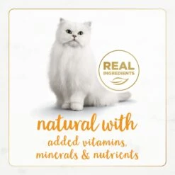 Fancy Feast Gourmet Naturals Turkey Recipe Pate Canned Cat Food, 3-oz Can, Case Of 12 -PurePet Bites Shop 214803 PT3. AC SS1800 V1677102401