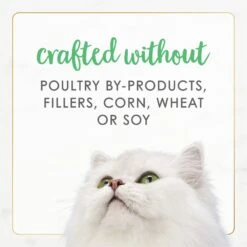 Fancy Feast Gourmet Naturals White Meat Chicken Recipe Grain-Free Pate Kitten Canned Cat Food, 3-oz Can, Case Of 12 17 Fancy Feast Gourmet Naturals White Meat Chicken Recipe Grain-Free Pate Kitten Canned Cat Food, 3-oz Can, Case Of 12 -PurePet Bites Shop 214807 PT6. AC SS1800 V1677102857