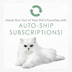 Fancy Feast Gourmet Naturals White Meat Chicken Recipe Grain-Free Pate Kitten Canned Cat Food, 3-oz Can, Case Of 12 19 Fancy Feast Gourmet Naturals White Meat Chicken Recipe Grain-Free Pate Kitten Canned Cat Food, 3-oz Can, Case Of 12 -PurePet Bites Shop 214807 pt8. AC SS1800 V1576853089