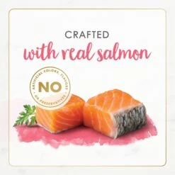 Fancy Feast Gourmet Naturals Natural Wild Alaskan Salmon Recipe Grain-Free Pate Kitten Canned Cat Food, 3-oz Can, Case Of 12 -PurePet Bites Shop 214809 PT4. AC SS1800 V1677102859