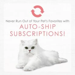 Fancy Feast Gourmet Naturals Natural Wild Alaskan Salmon Recipe Grain-Free Pate Kitten Canned Cat Food, 3-oz Can, Case Of 12 -PurePet Bites Shop 214809 pt8. AC SS1800 V1576853334