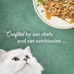 Fancy Feast Medleys White Meat Chicken Recipe With Carrots & Spinach Canned Cat Food, 3-oz Can, Case Of 24 -PurePet Bites Shop 214811 PT3. AC SS1800 V1666838757
