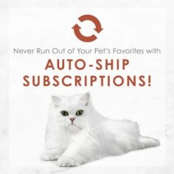 Fancy Feast Classic Collection Chicken & Beef Pate Variety Pack Canned Cat Food, 3-oz Can, Case Of 24 -PurePet Bites Shop 215047 PT8. AC SS1800 V1690404802