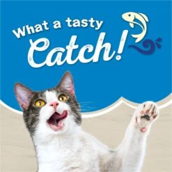 Friskies Ocean Favorites With Natural Salmon Dry Cat Food -PurePet Bites Shop 215380 PT3. AC SS1800 V1700161617