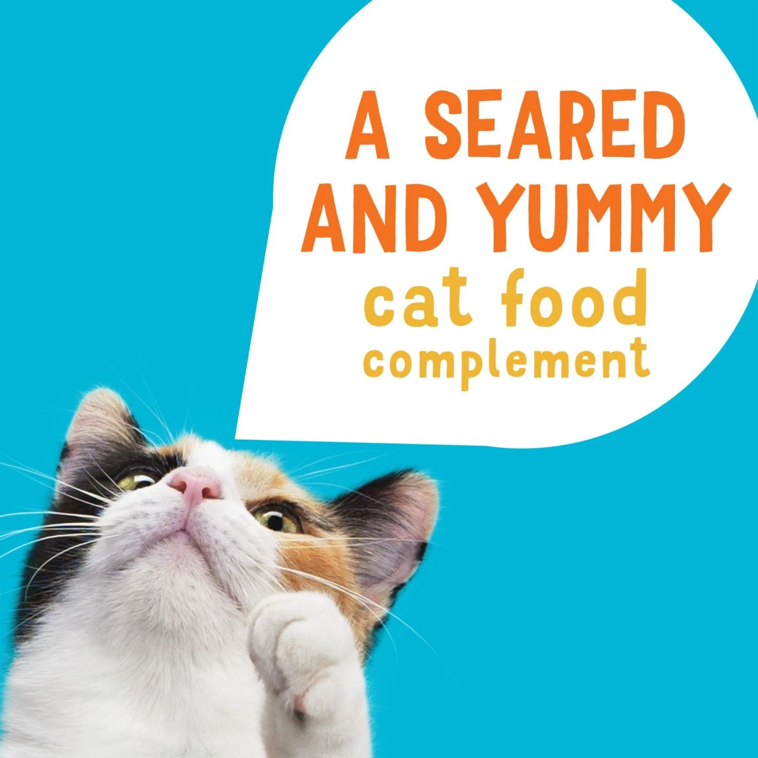 Friskies Lil' Grillers Chicken, Turkey, Ocean Fish & Tuna Variety Pack Gravy Wet Cat Food Complement, 1.55-oz Pouch, Case Of 30 5 Friskies Lil' Grillers Chicken, Turkey, Ocean Fish & Tuna Variety Pack Gravy Wet Cat Food Complement, 1.55-oz Pouch, Case Of 30 - Image 3