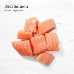 American Journey Minced Salmon & Tuna Recipe In Gravy Grain-Free Canned Cat Food -PurePet Bites Shop 216799 PT4. AC SS1800 V1689972629