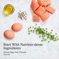 American Journey Minced Salmon & Tuna Recipe In Gravy Grain-Free Canned Cat Food -PurePet Bites Shop 216799 PT6. AC SS1800 V1689972517