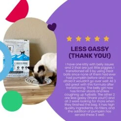 I And Love And You Naked Essentials Digestive Support Chicken And Pumpkin Recipe Dry Cat Food, 3.4-lb Bag -PurePet Bites Shop 217319 PT3. AC SS1800 V1688157467