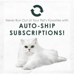 Fancy Feast Tuna Feast In Gravy Minced Senior 7+ Canned Cat Food, 3-oz Can, Case Of 24 19 Fancy Feast Tuna Feast In Gravy Minced Senior 7+ Canned Cat Food, 3-oz Can, Case Of 24 -PurePet Bites Shop 217434 PT8. AC SS1800 V1691416153