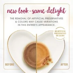 Fancy Feast Chicken Feast Pate Senior 7+ Canned Cat Food, 3-oz Can, Case Of 24 -PurePet Bites Shop 217436 PT2. AC SS1800 V1691416963