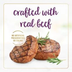 Fancy Feast Beef Feast Classic Pate Senior 7+ Canned Cat Food, 3-oz Can, Case Of 24 -PurePet Bites Shop 217438 PT5. AC SS1800 V1691418833