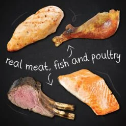 Hound & Gatos Grain-Free Cage Free Turkey Recipe Dry Cat Food -PurePet Bites Shop 217774 PT3. AC SS1800 V1588770406