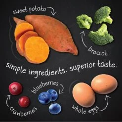 Hound & Gatos Grain-Free Salmon Recipe Dry Cat Food -PurePet Bites Shop 217778 PT4. AC SS1800 V1588770464