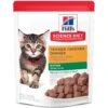 Hill's Science Diet Kitten Tender Chicken Recipe Cat Food, 2.8-oz Pouch, Case Of 24 -PurePet Bites Shop 218059 MAIN. AC SS1800 V1580224402