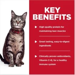 Hill's Science Diet Adult Chicken & Spinach Casserole Recipe Cat Food, 2.8-oz Pouch, Case Of 24 -PurePet Bites Shop 218067 PT4. AC SS1800 V1598153187