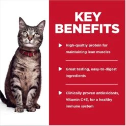 Hill's Science Diet Adult Turkey & Liver Casserole Recipe Cat Food, 2.8-oz Pouch, Case Of 24 -PurePet Bites Shop 218069 PT4. AC SS1800 V1598144505