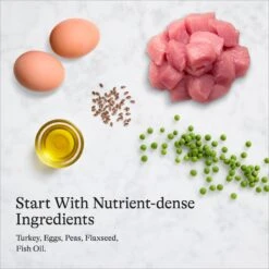 American Journey Minced Turkey Recipe In Gravy Grain-Free Canned Cat Food 17 American Journey Minced Turkey Recipe In Gravy Grain-Free Canned Cat Food -PurePet Bites Shop 218187 PT6. AC SS1800 V1689972584