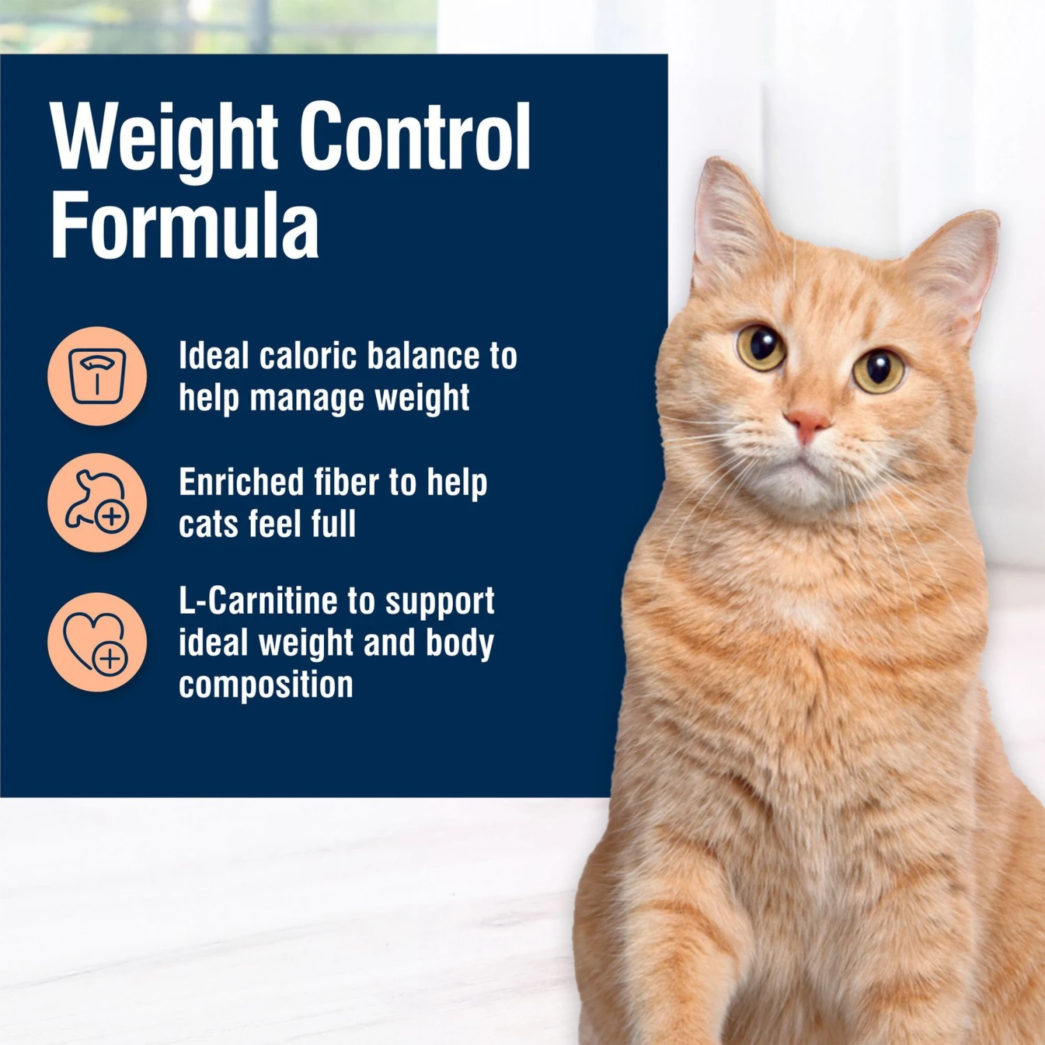 Blue Buffalo True Solutions Healthy Weight Natural Weight Control Chicken Adult Dry Cat Food 6 Blue Buffalo True Solutions Healthy Weight Natural Weight Control Chicken Adult Dry Cat Food - Image 4