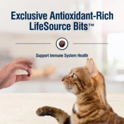 Blue Buffalo True Solutions Healthy Weight Natural Weight Control Chicken Adult Dry Cat Food 17 Blue Buffalo True Solutions Healthy Weight Natural Weight Control Chicken Adult Dry Cat Food -PurePet Bites Shop 218281 PT6. AC SS1800 V1696449634