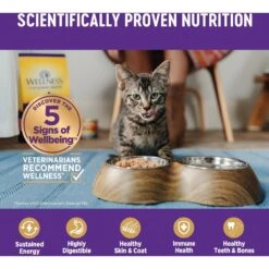 Wellness Chicken & Turkey Lovers Canned Cat Food, 3-oz, Case Of 24 -PurePet Bites Shop 218317 PT4. AC SS1800 V1666650228