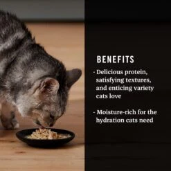 American Journey Landmark Broths Chicken, Carrots & Pumpkin Recipe Wet Cat Food Complement Pouches, 1.4 Oz Case Of 16 14 American Journey Landmark Broths Chicken, Carrots & Pumpkin Recipe Wet Cat Food Complement Pouches, 1.4 Oz Case Of 16 -PurePet Bites Shop 219434 PT3. AC SS1800 V1608268361