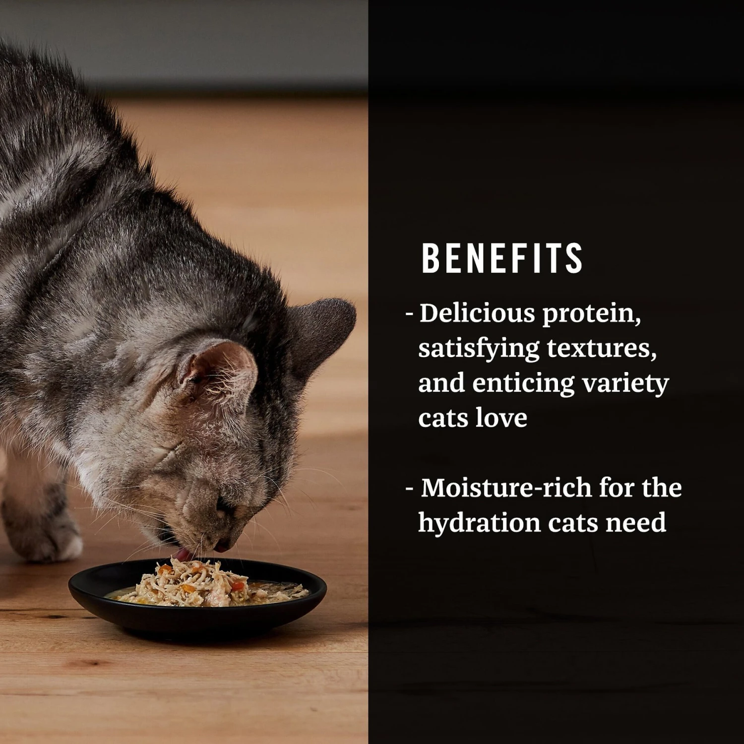 American Journey Landmark Broths Chicken, Carrots & Pumpkin Recipe Wet Cat Food Complement Pouches, 1.4 Oz Case Of 16 6 American Journey Landmark Broths Chicken, Carrots & Pumpkin Recipe Wet Cat Food Complement Pouches, 1.4 Oz Case Of 16 - Image 4